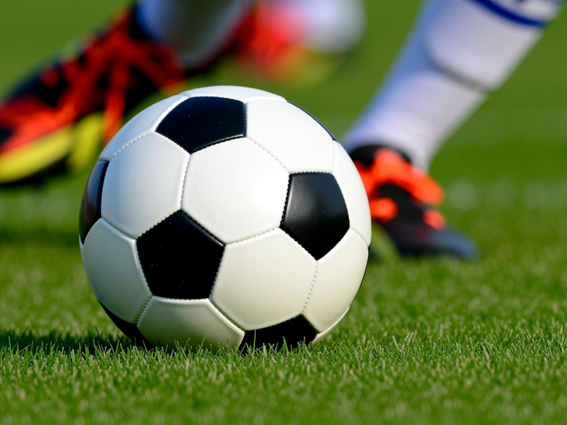 开云体育登录入口-多米尼加选手雄心万丈夺得金牌  第2张