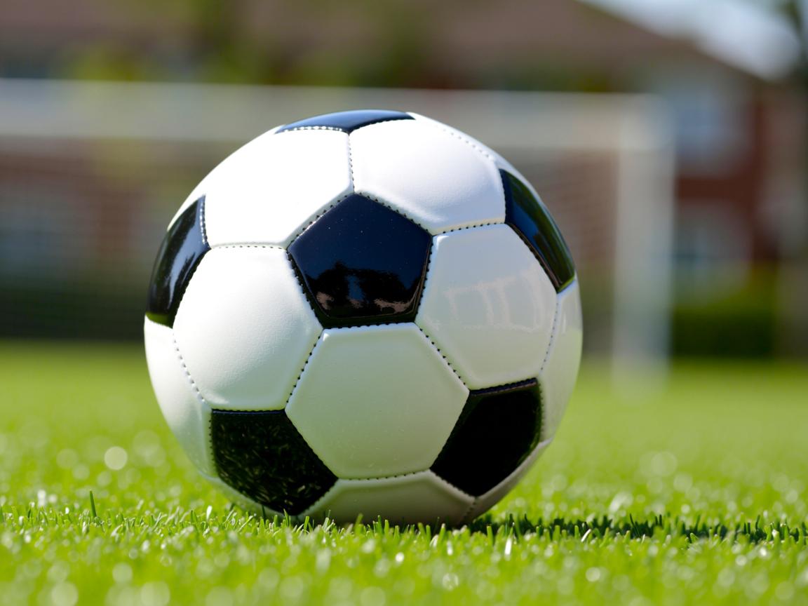 开云体育app注册-全运会火炬传递展示地方特色，全运会火炬的火种来自哪里  第2张