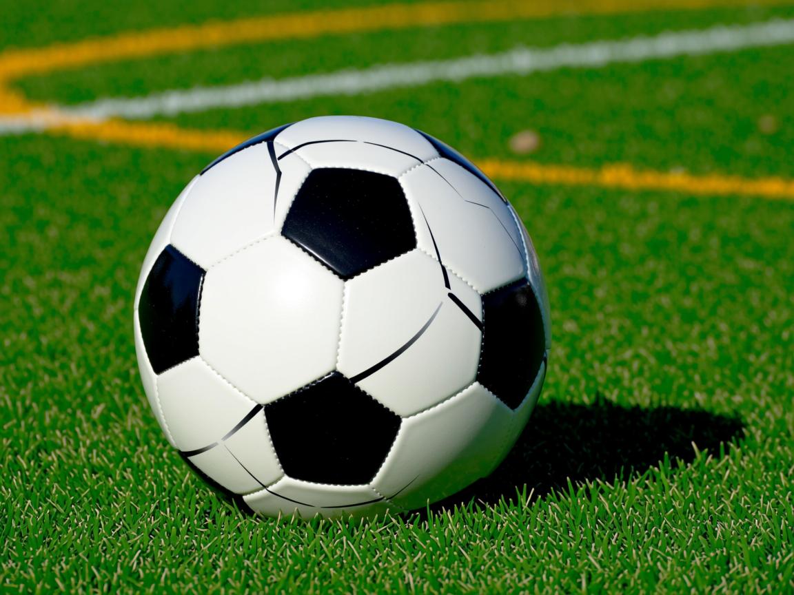 开云体育app下载-出发及转身速度提升显著影响成绩  第3张