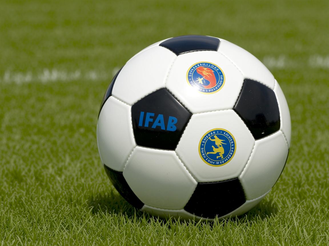 开云体育在线-山西龙狮主场氛围火爆成为球队坚强后盾，龙狮运动协会简介