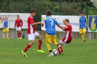 开yun官网-“福乐球决战开启，新都香城体育中心见证精彩”  第2张